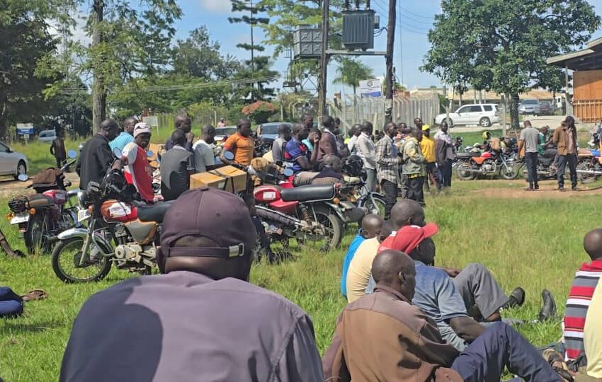 Ntungamo Boda riders turn to coffee farming